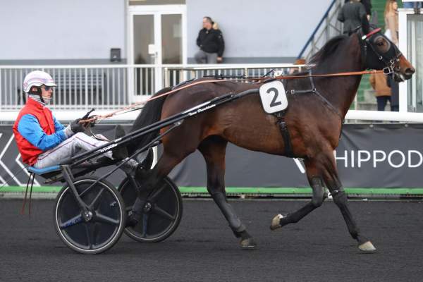 La photo de Nuevo Cash