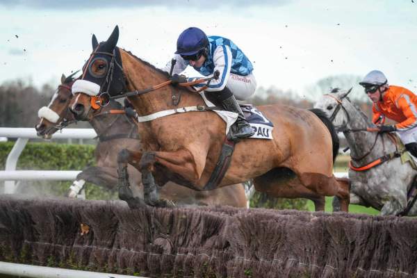 La photo de Jaguar Du Large