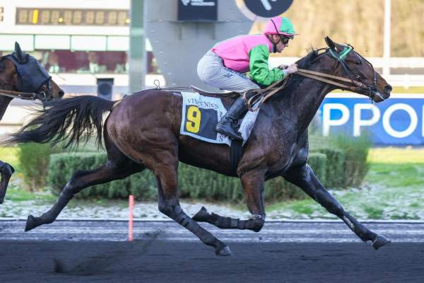 Mhum Flyng arrivée pmu Prix d'Enghien à Vincennes