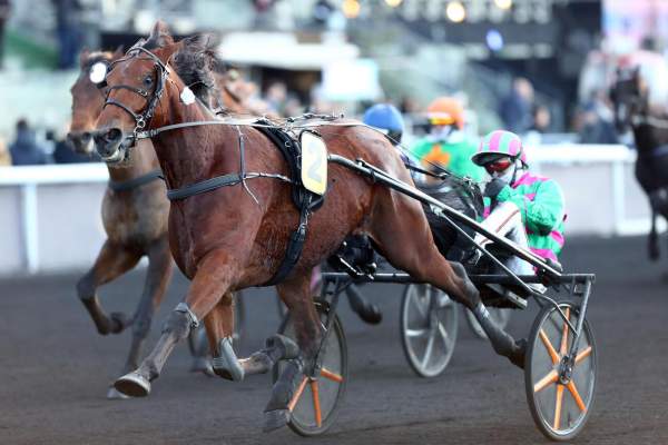 Cobra Killer Gar Arrivée Quinté+ Pmu Prix De Lille à PARIS-VINCENNES