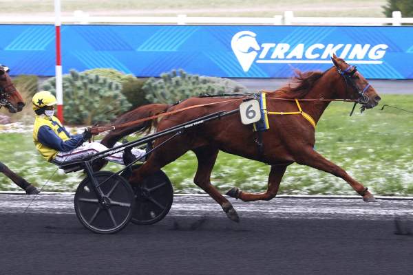 Joy Jenilou Arrivée Quinté+ Pmu Prix De L'Aveyron à PARIS-VINCENNES