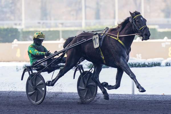 Killer Bond Arrivée Quinté+ Pmu Prix De Joinville à PARIS-VINCENNES
