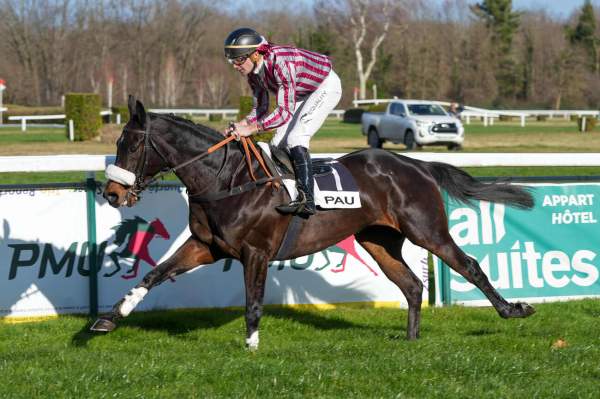 Vision Du Rheu Arrivée Quinté+ Pmu Prix Tekide (prix Pierre Estrem Rey) à PAU