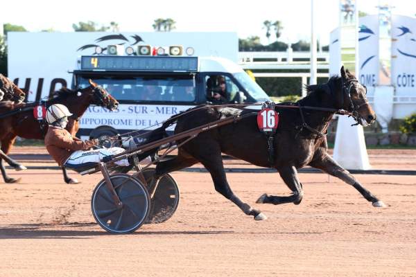 Harley Gema Arrivée Quinté+ Pmu Prix De La Cote D'Azur - Ici Azur à CAGNES-SUR-MER