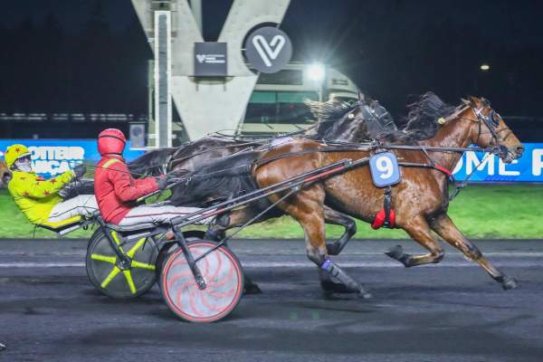 Make Your Day Arrivée PMU Prix Bellino II à Vincennes