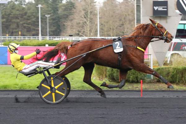 Iroise De La Noe arrivée Quinté+ pmu Prix de Belgique Amerique Races Q6 à Vincennes