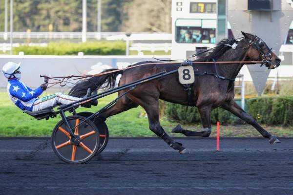 Express D'arc Arrivée Quinté+ Pmu Prix De Brionne à PARIS-VINCENNES