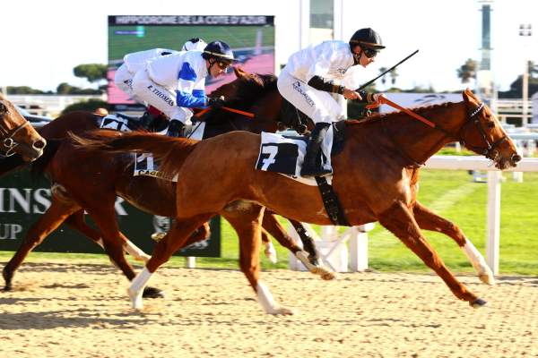 Central Park West arrivée Quinté+ pmu Prix de Cannes à Cagnes-sur-Mer