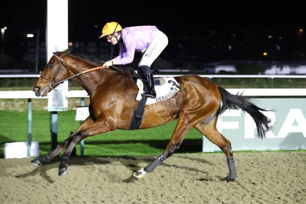 Barbate Arrivée Quinté+ Pmu Prix Du Pays D'Ouche à DEAUVILLE