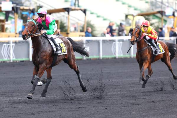 Mhum Flyng Arrivée PMU Prix de Pardieu à Vincennes
