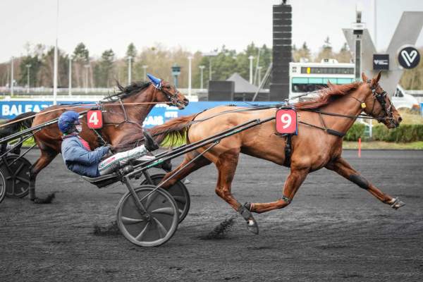 La photo de Make It Right