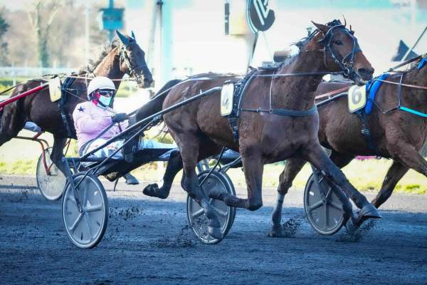 Executiv Ek Arrivée Quinté+ Pmu Prix Du Luxembourg à PARIS-VINCENNES