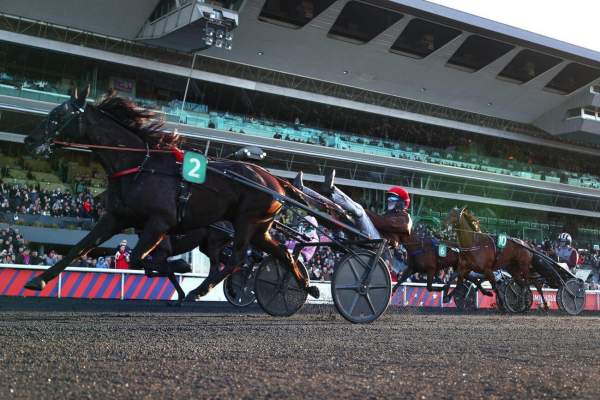 Maestro Vrie arrivée pmu Prix Ourasi (Gr.I) à Vincennes