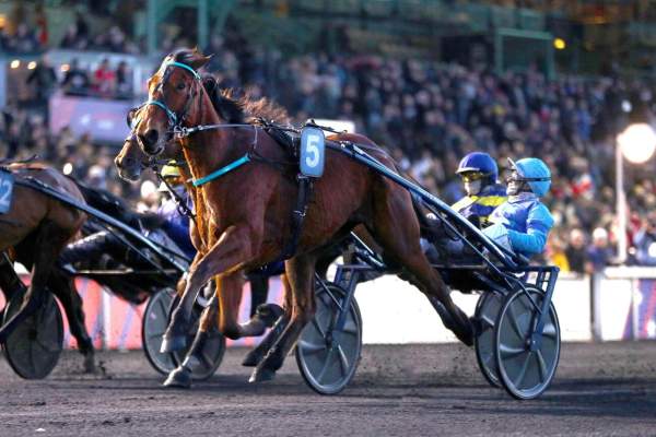 Liberte De Choisel Arrivée PMU Prix Bold Eagle à Vincennes