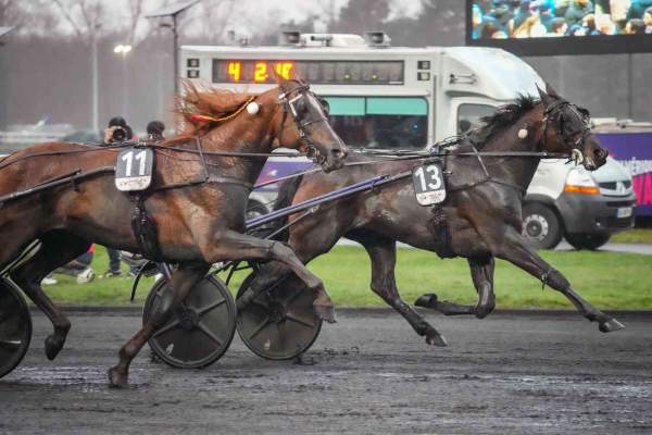 Hokkaido Jiel arrivée Quinté+ pmu Prix d'Amérique - Legend Race sur l'hippodrome de Vincennes