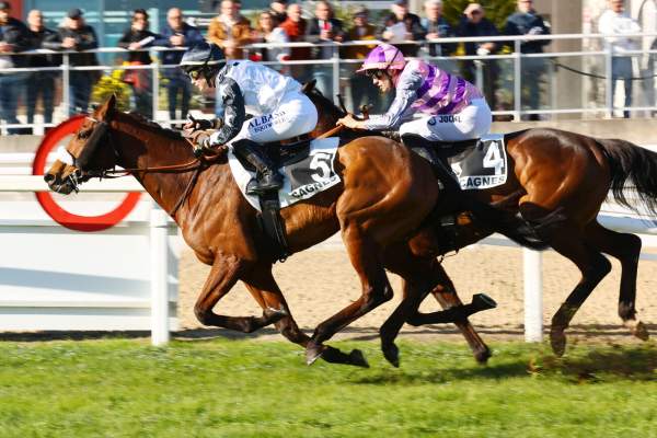 Gilded Dragon Arrivée Quinté+ Pmu Prix De Marseille à CAGNES-SUR-MER