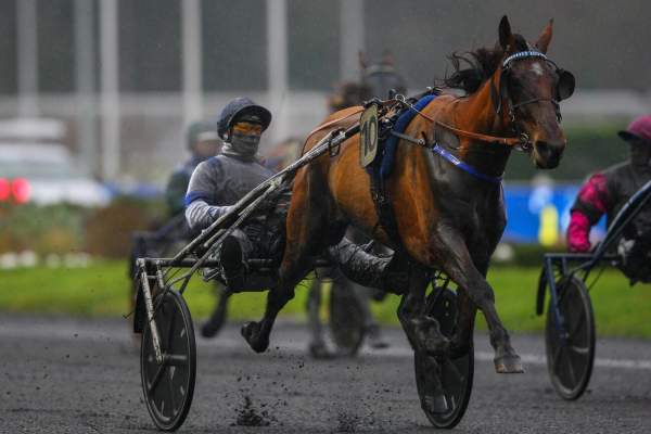 Jovial Haufor Arrivée Quinté+ Pmu Prix De Chateauroux à Paris-Vincennes