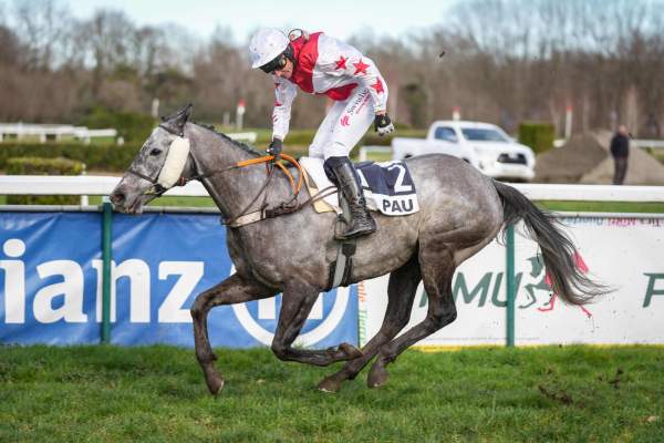 Never Risk Arrivée Quinté+ Pmu Prix Soal Racing (Prix Rene Cramail) à Pau