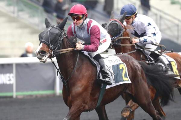 Munhoa Vedaquaise Arrivée PMU Prix de Dozulé à Vincennes