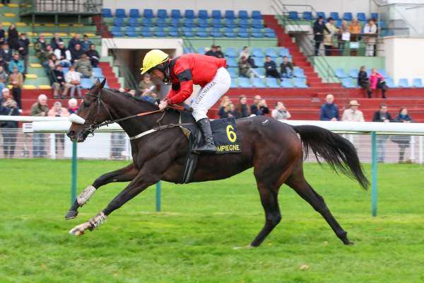 Double Be Arrivée pmu Prix de Vatelys à Compiègne