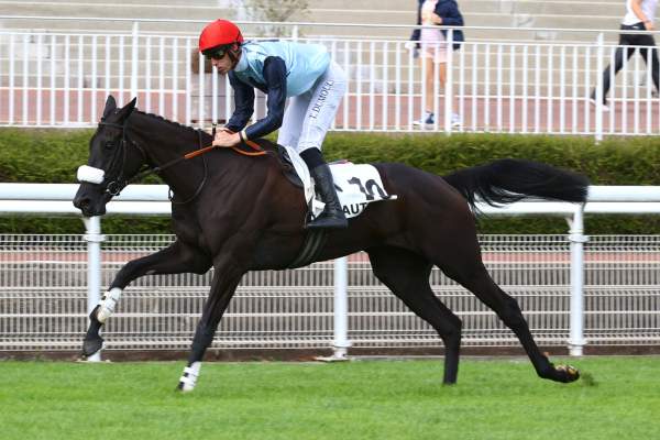 Maskina arrivée pmu Prix Finot des Pouliches (L) à Auteuil