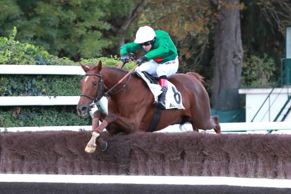 Mysoko Star Arrivée pmu Prix Pierre de Lassus (Gr.III) à Auteuil