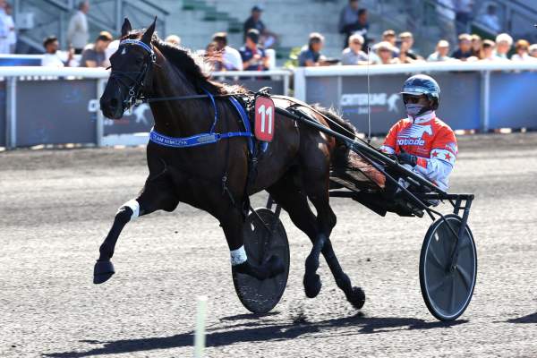 La photo de Black Heuvelland