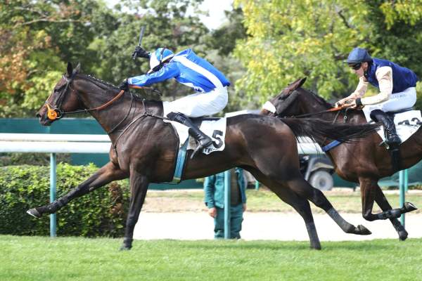 BALMORAL
