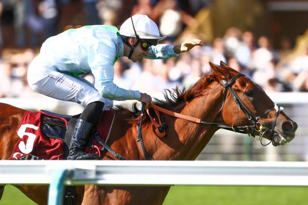 Jabracadabra Arrivée PMU Qatar Prix Chaudenay 2026 à ParisLongchamp
