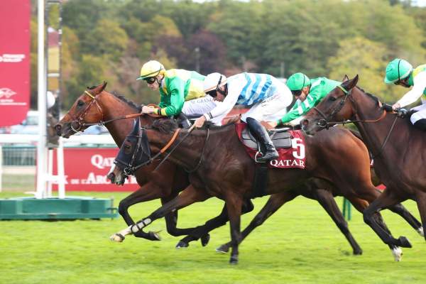 Rembrand To Go Arrivée Quinté+ Pmu Qatar Prix de la Place des Vosges 2026 à Longchamp