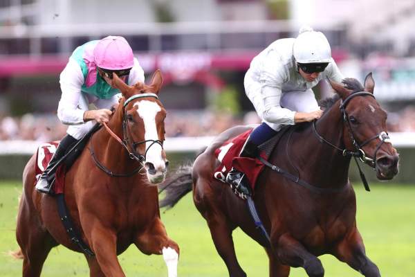 Fairy Glen Arrivée Qatar Prix de Royallieu 2026 à ParisLongchamp