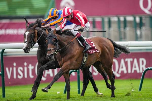 Caballo De Mar Arrivée PMU Qatar Prix du Cadran 2026 à ParisLongchamp