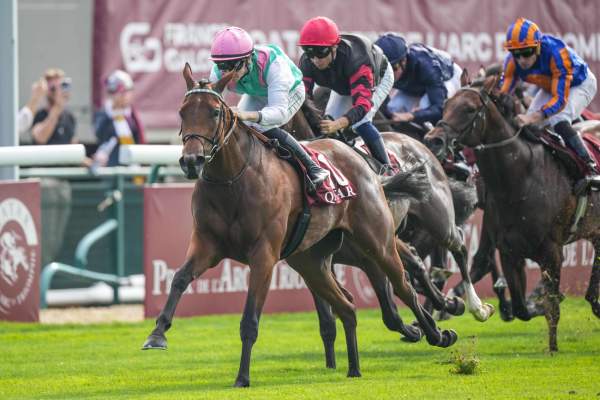 Amusingly Arrivée PMU Qatar Prix Jean-Luc Lagardère 2026 à ParisLongchamp