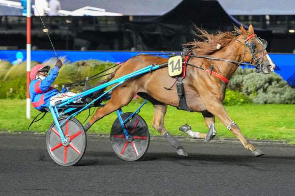 Indien De Fontaine Arrivée Quinté+ Pmu Prix Héra à Paris-Vincennes
