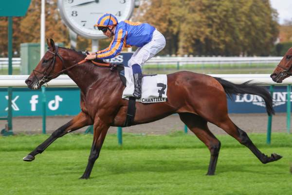 MOI NON PLUS