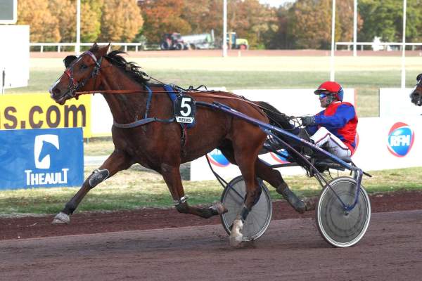 LUXURY DU DOUAROU