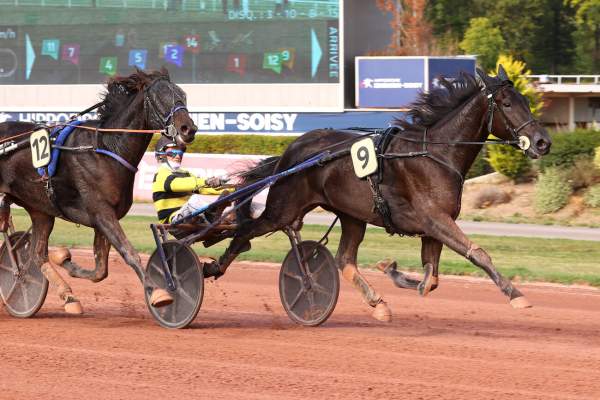 NIGHT DU SAPTEL
