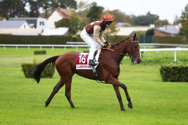 MICKAEL D'OO