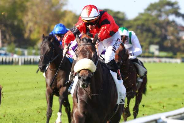 Master Man Arrivée Critérium International 2026 (Gr. I) à Saint-Cloud