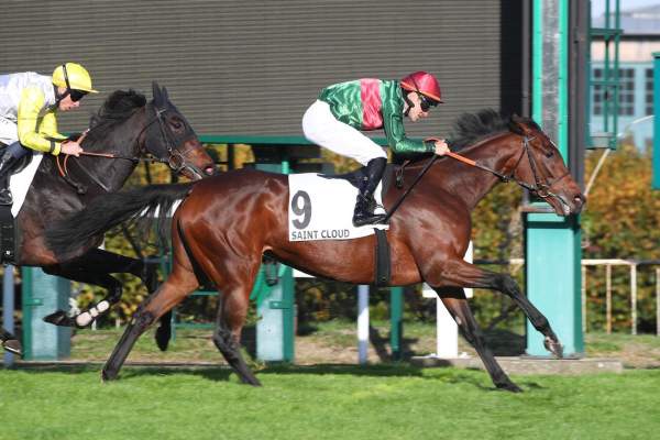 Marinaleda Arrivée Quinté+ Pmu Prix de l'Elevage 2026 à Saint Cloud