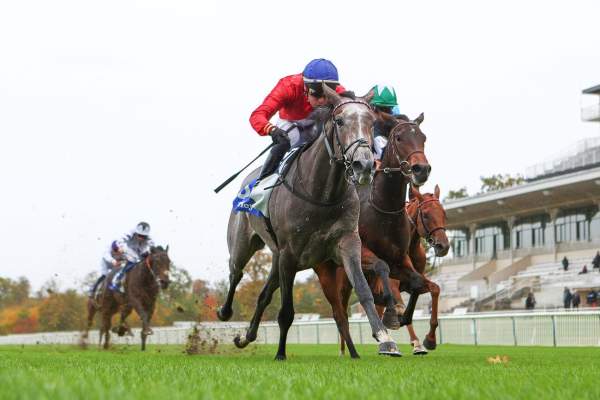 Coaxed Arrivée Prix des Réservoirs (Gr.III) 2026 à Chantilly