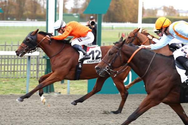 Dubalaa Arrivée Quinté+ Pmu Prix De La Route Des Princes 2026 à Chantilly