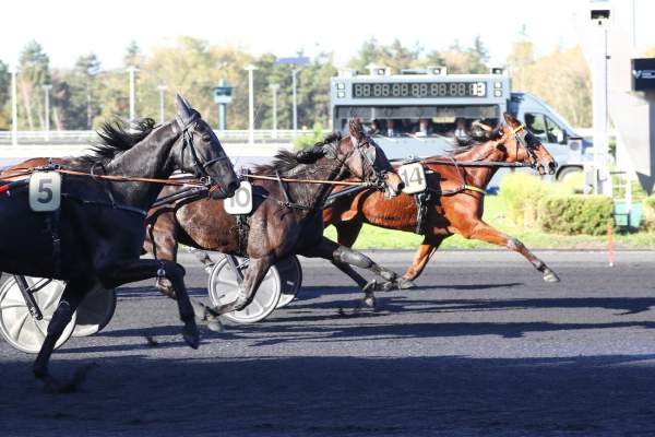 Inmarosa Arrivée Quinté+ Pmu Prix Des Cevennes à Paris-Vincennes