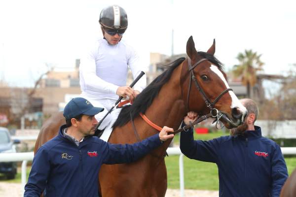 La photo de FACTEUR CHEVAL