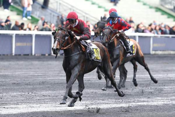 Lovissime Arrivée PMU Prix Indienne à Vincennes