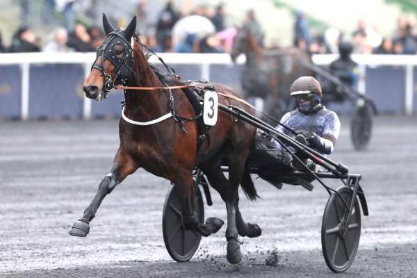 Not This Time Arrivée PMU Prix Leopold Verroken à Vincennes