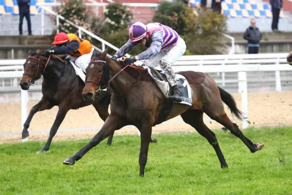 Grecian Comet Arrivée Quinté+ Pmu Prix Du Var à Cagnes-Sur-Mer