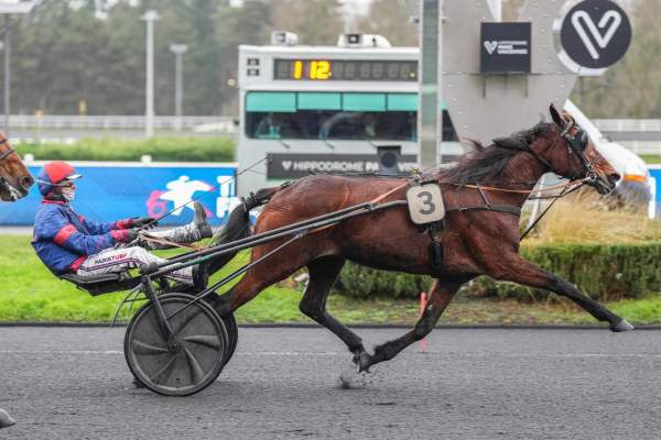 La photo de Diva Del Ronco