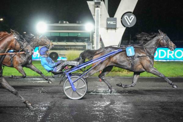 La photo de Chitchat