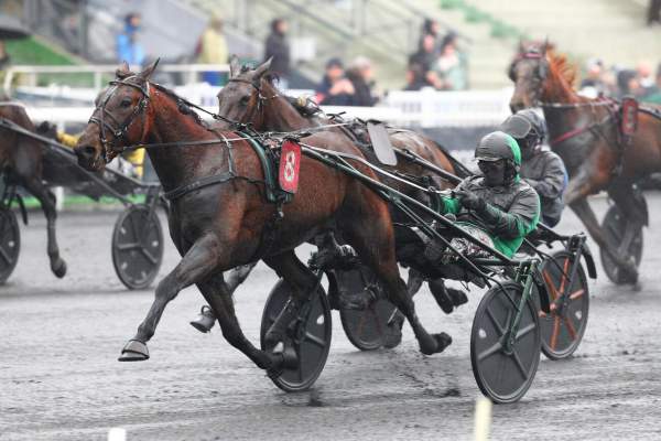 La photo de Global Concept